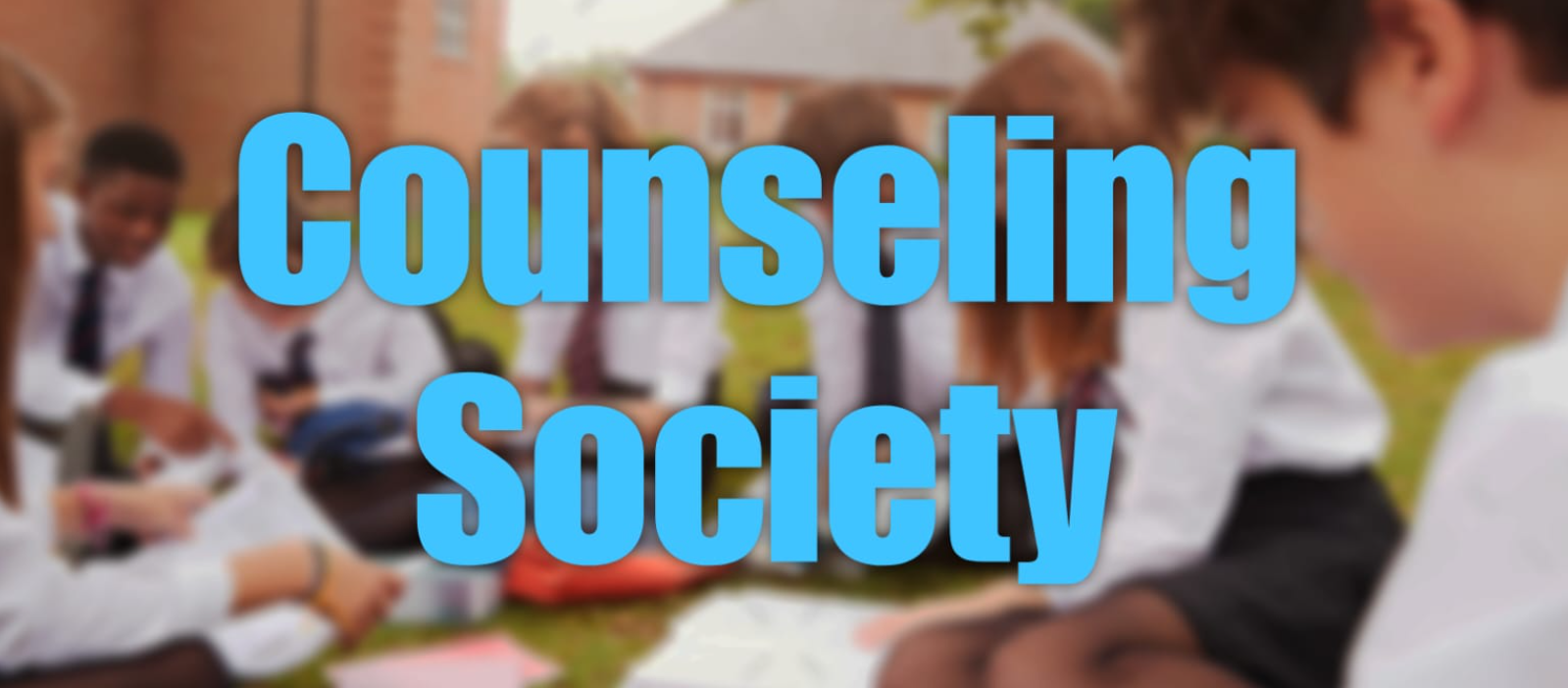 උපදේශන සමිතිය